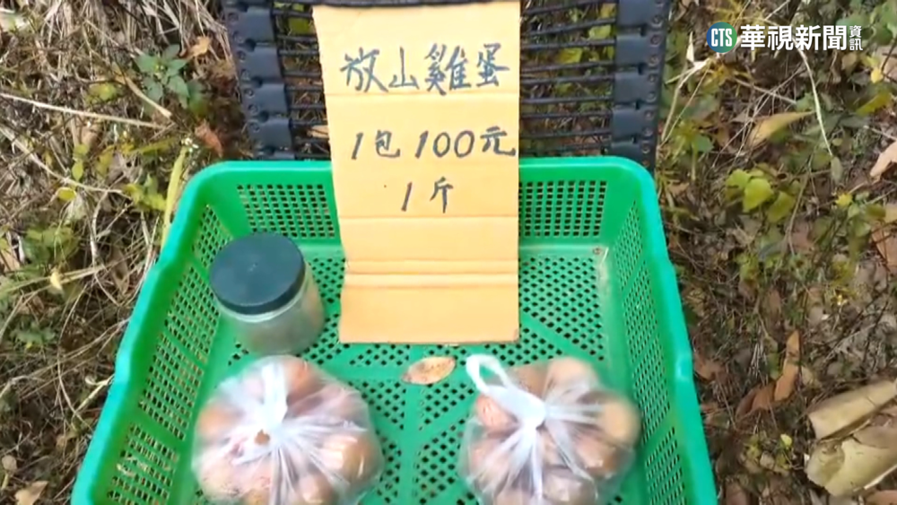 大坑登山遇賣土雞蛋攤　1斤百元半天賣光