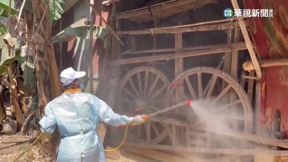 柬埔寨女童染禽流感身亡　父親也「確診」