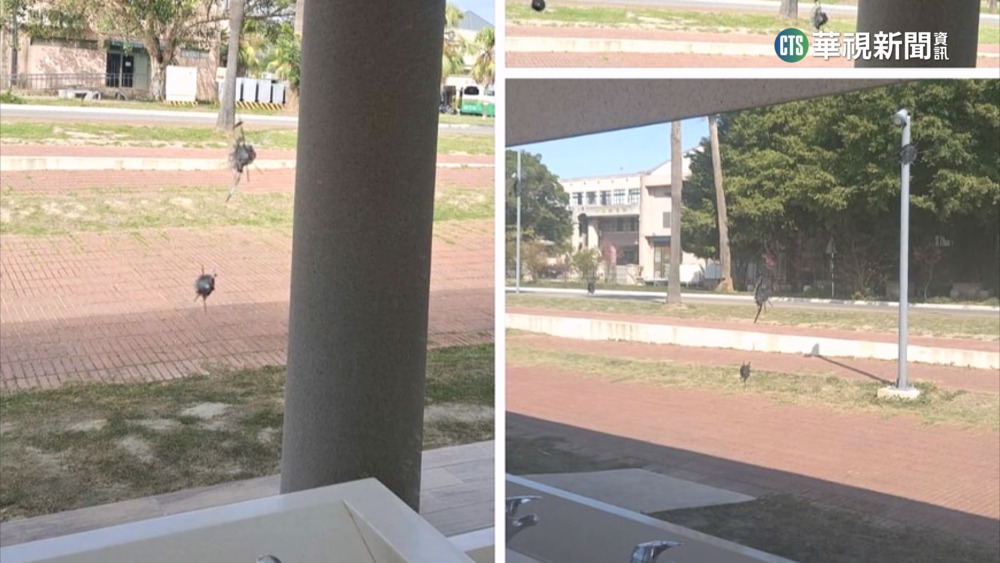 金門槍擊怪客抓到了　4嫌「試槍」遭逮送辦