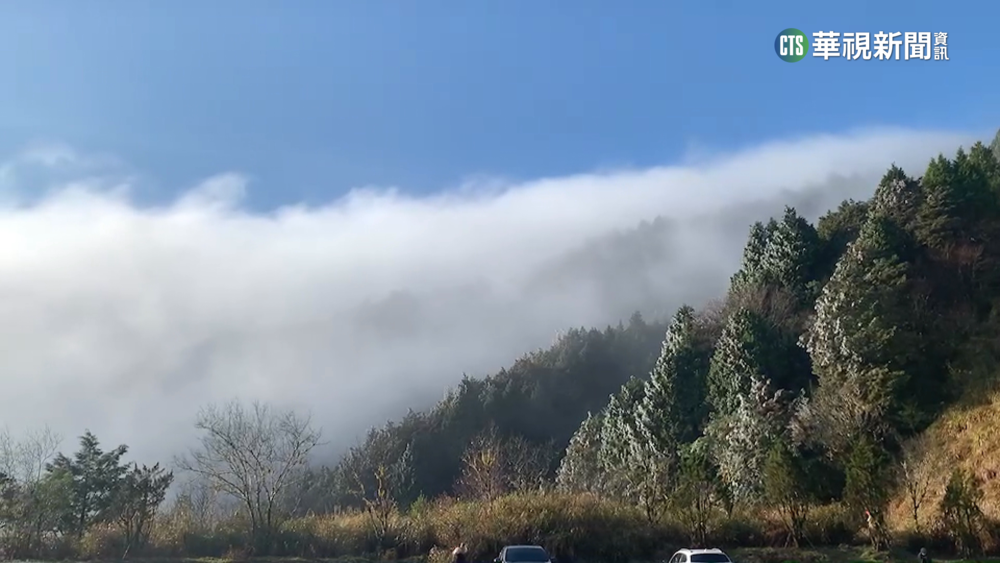 把握機會賞美景　太平山回溫霧淞漸融化