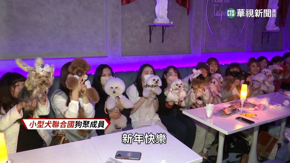 毛孩數量超越真小孩　寵物保險銷量5年翻千倍