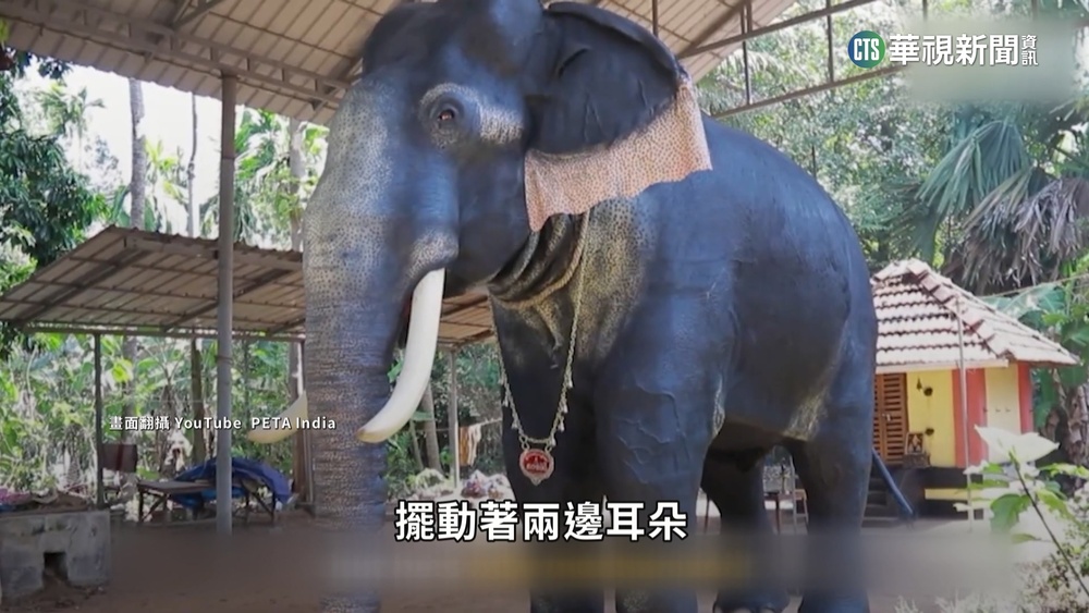 放過大象吧！　印度神廟首創「機器象」祭神