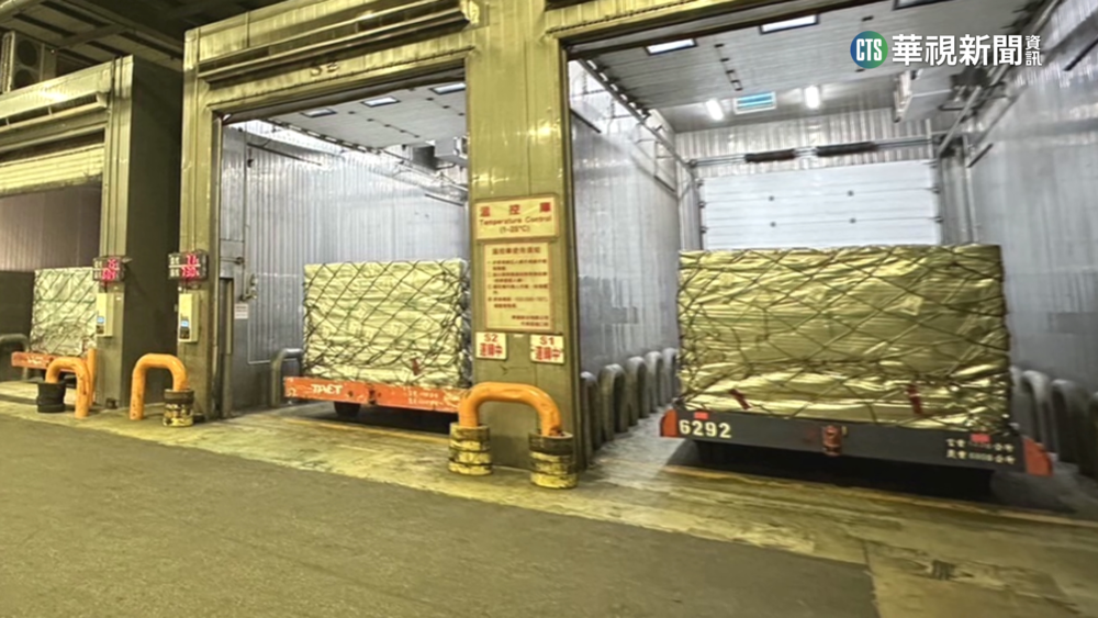 澳洲雞蛋抵台！　首批36萬顆盼減緩缺蛋危機