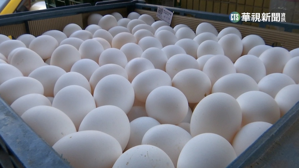 澳洲蛋空運倒貼3000萬？　陳吉仲：農委會吸收
