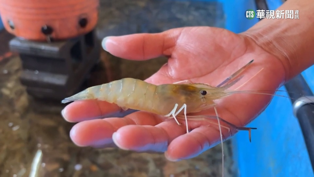 墾丁吃海鮮7道菜要3620元　民眾PO帳單引論戰