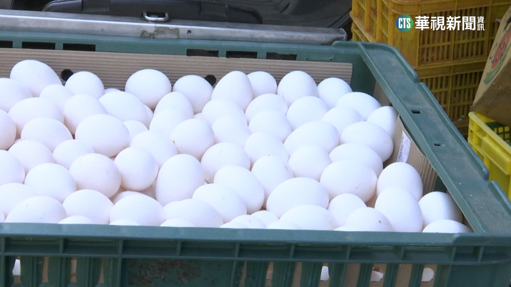 蛋價3週內2度漲　陳吉仲：尊重市場機制成果