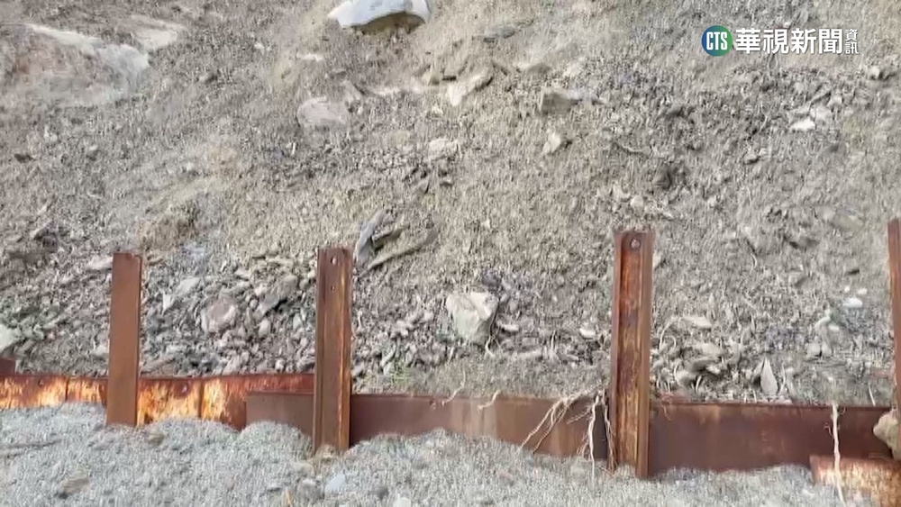 阿朗壹古道鋪「水泥道」　學者怒：粗暴阻斷陸蟹生機