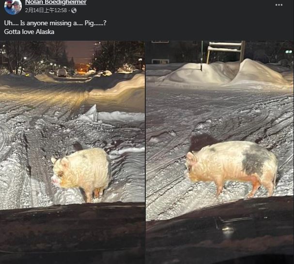 圖片翻攝自 Nolan Boedigheimer 臉書