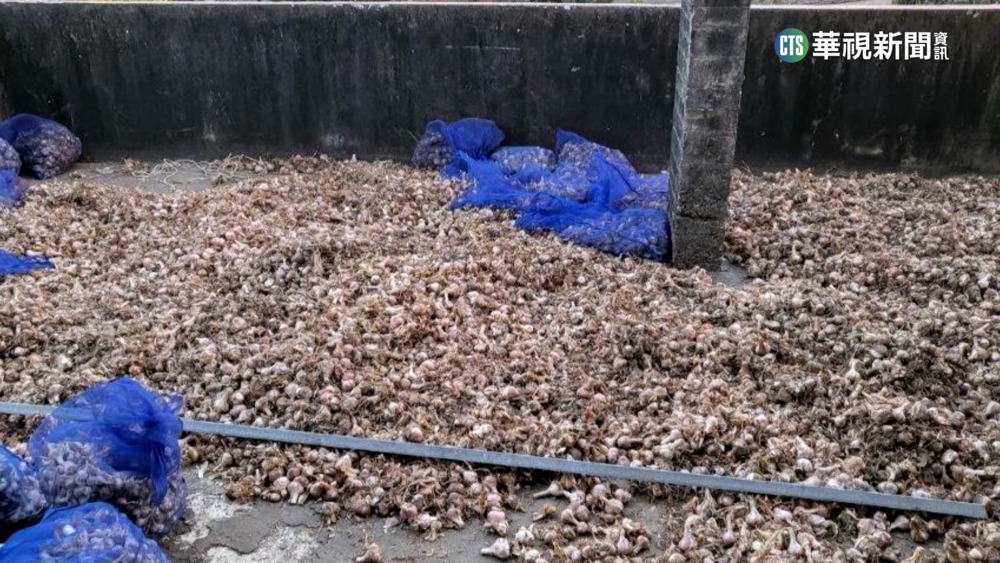 2男雇泰國旅客組偷蒜團　住處藏3000kg蒜頭