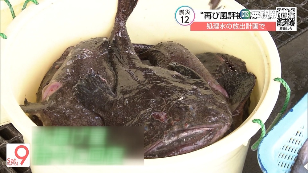 核電廠將排廢水！　福島水產業者憂負評再起