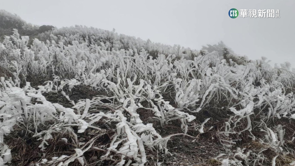 大陸冷氣團影響！　合歡山出現霧淞現象