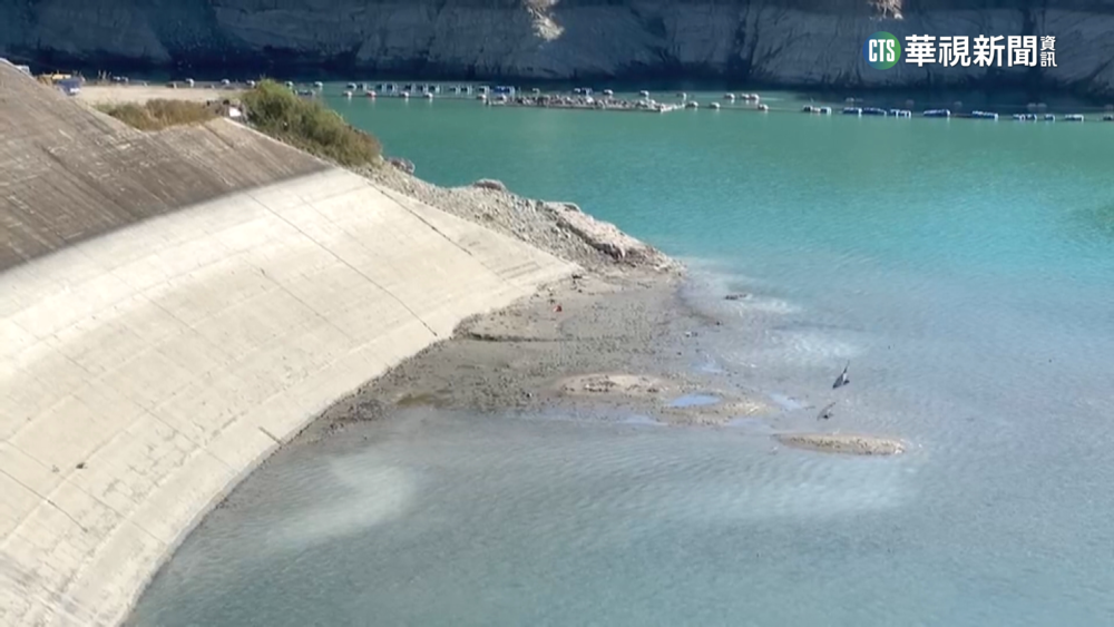 近30年來最嚴重旱災　慘！　青梅長不大無法採收