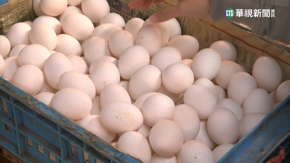 解蛋荒！　逾5百萬顆進口蛋直送超市　估1盒65元