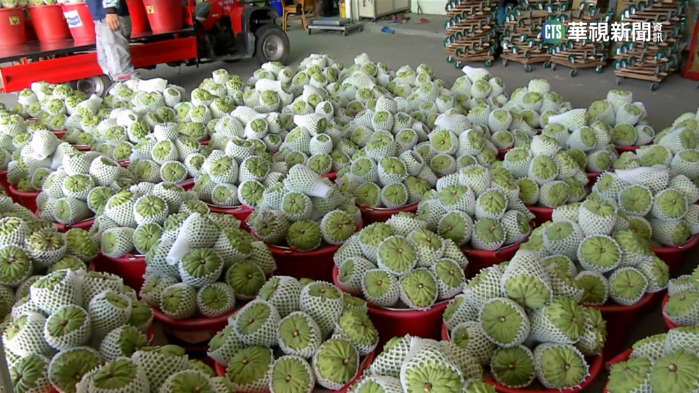 鳳梨釋迦遭禁2年　台東副縣長將赴中國協商