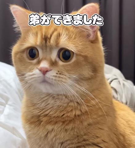 圖片翻攝自 mokomaru_10 IG