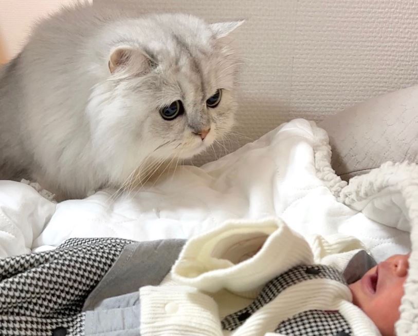 圖片翻攝自 mokomaru_10 IG