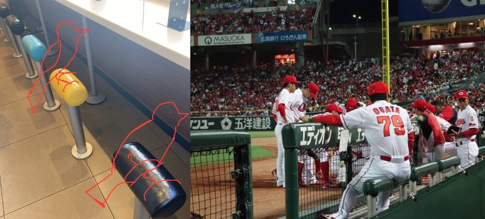 圖片翻攝自 @Ackerman_11_ (左) / @carp_4563 (右) 推特