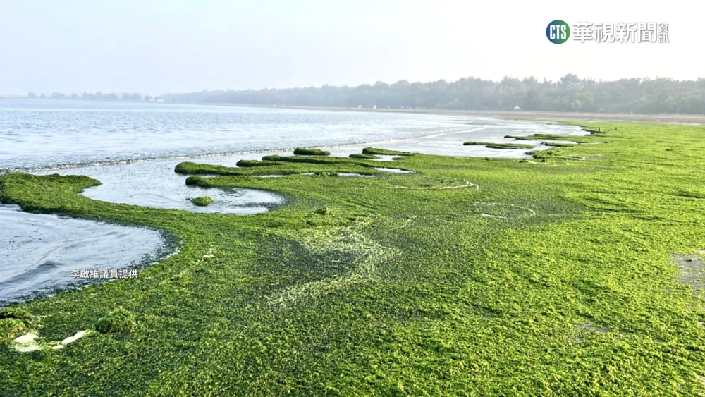 安平漁光島「抹茶海灘」　季節限定美景超夢幻