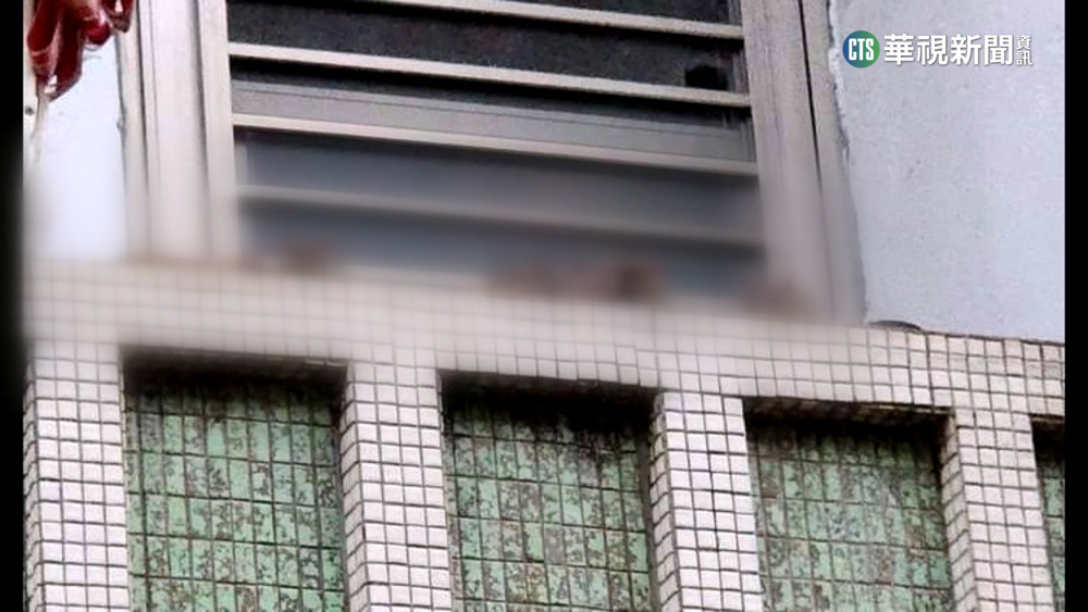 恐怖「米奇屋」！婦餵貓竟鼠成患　鄰居快崩潰