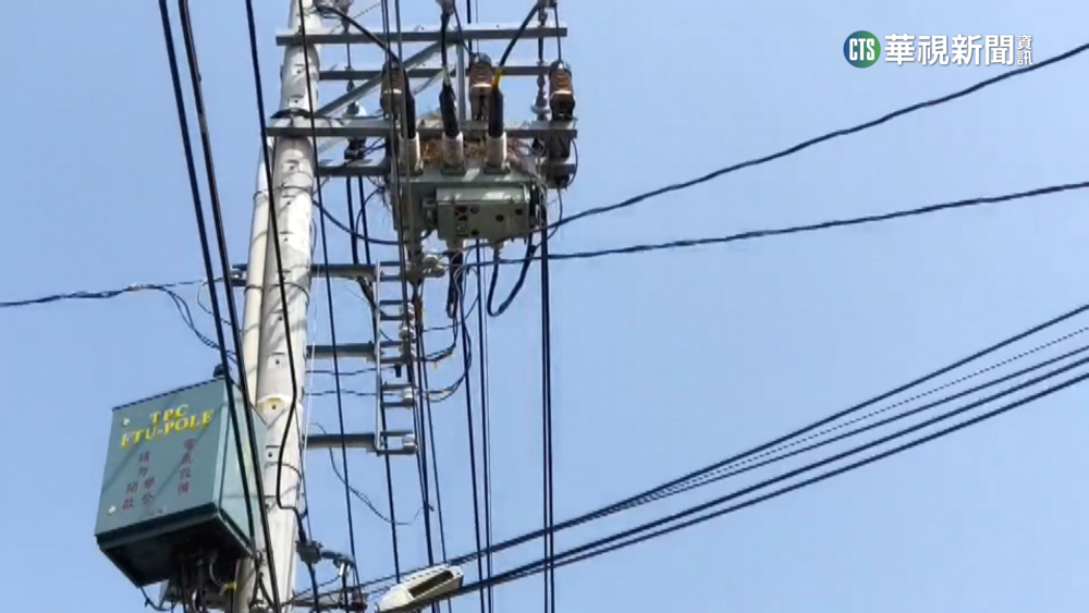 防範未然！春天鳥類電桿築巢　台電巡拆防跳電