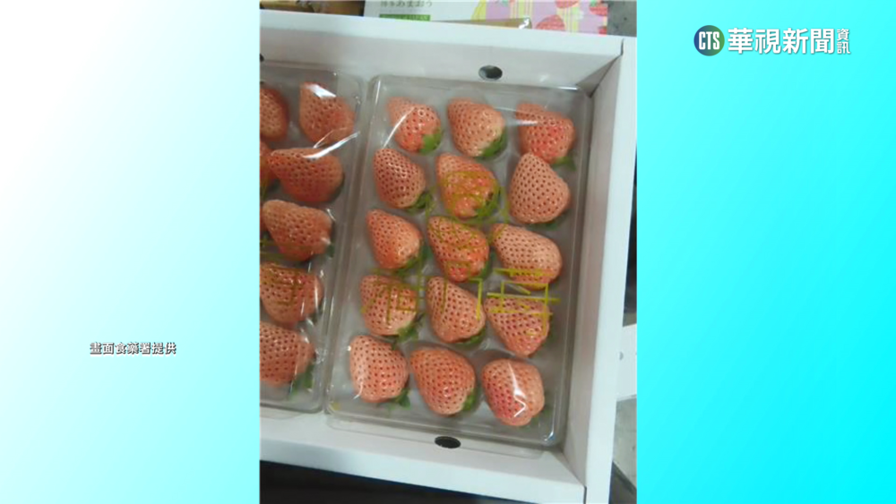 日進口兩批草莓不合格　驗出禁用農藥「克凡派」