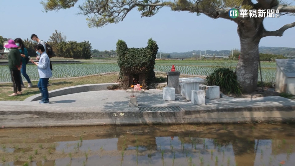 熱門打卡景點！　苗栗銅鑼超萌「龍貓土地公」