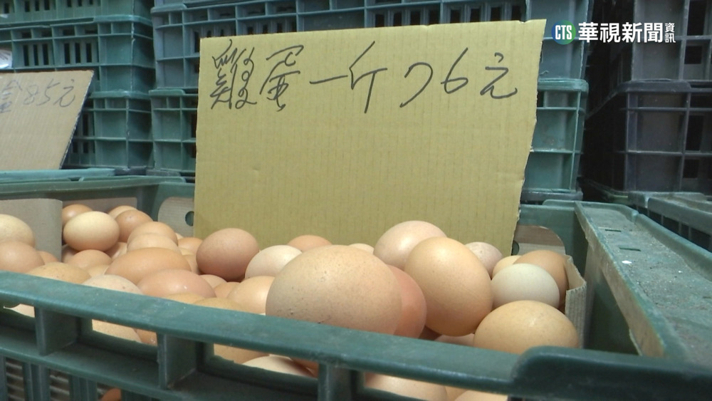 進口雞蛋最快3/29上架　農委會：美.澳.泰為主