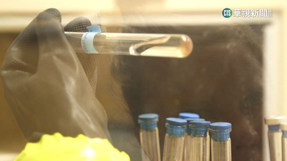 美「耳念珠菌」感染病例激增　1/3患者90天內死亡