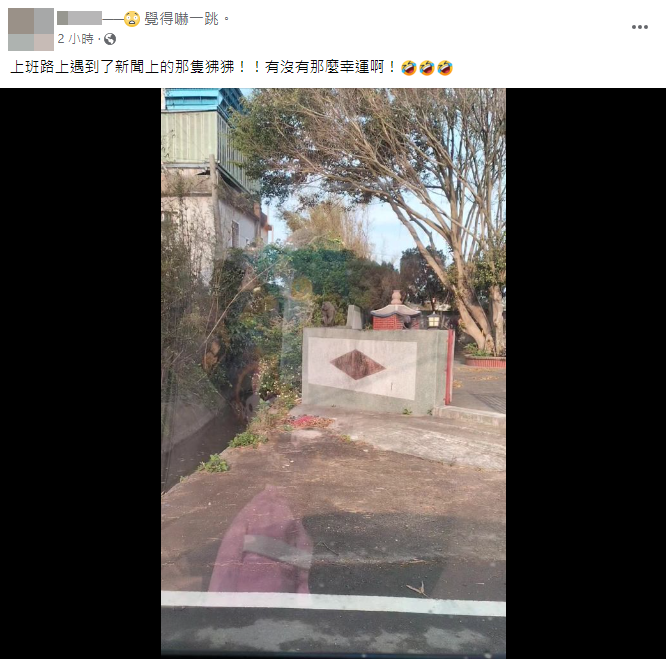 桃園狒狒最新行蹤！民眾上班巧遇狒狒 現蹤楊梅富岡運動公園