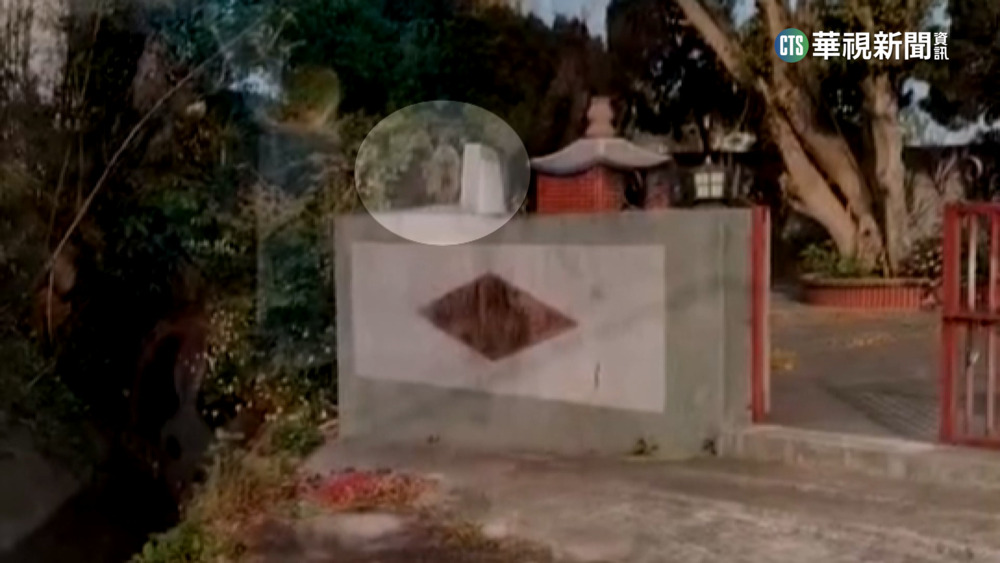 東非狒狒逃離新屋　現蹤楊梅富岡公園被拍下