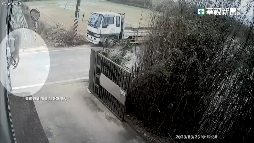 狒狒最新行蹤在楊梅　疑闖民宅叼食物爬外牆