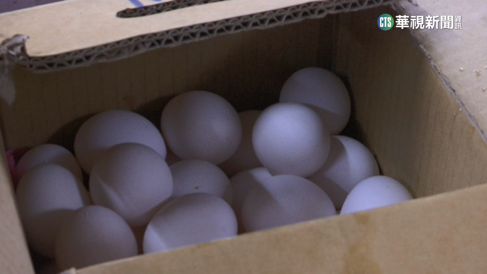 黑市價格瘋炒！　散裝零售雞蛋1斤破百元