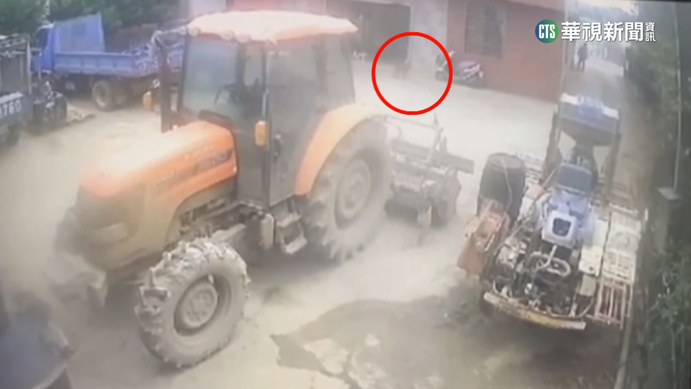 狒狒躲過麻醉吹箭增戒心　避雨空屋成搜查熱點