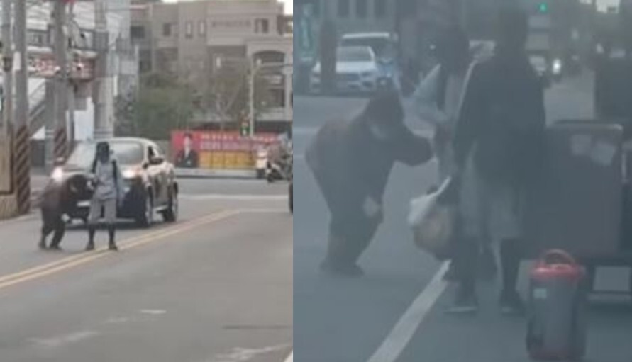 2國小棒球員攙扶阿嬤過馬路 暖心畫面引民眾大讚