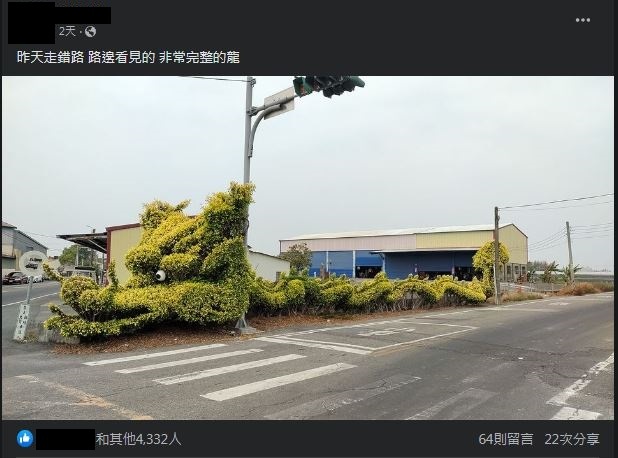 圖片翻攝自 臉書社團「路上觀察學院」