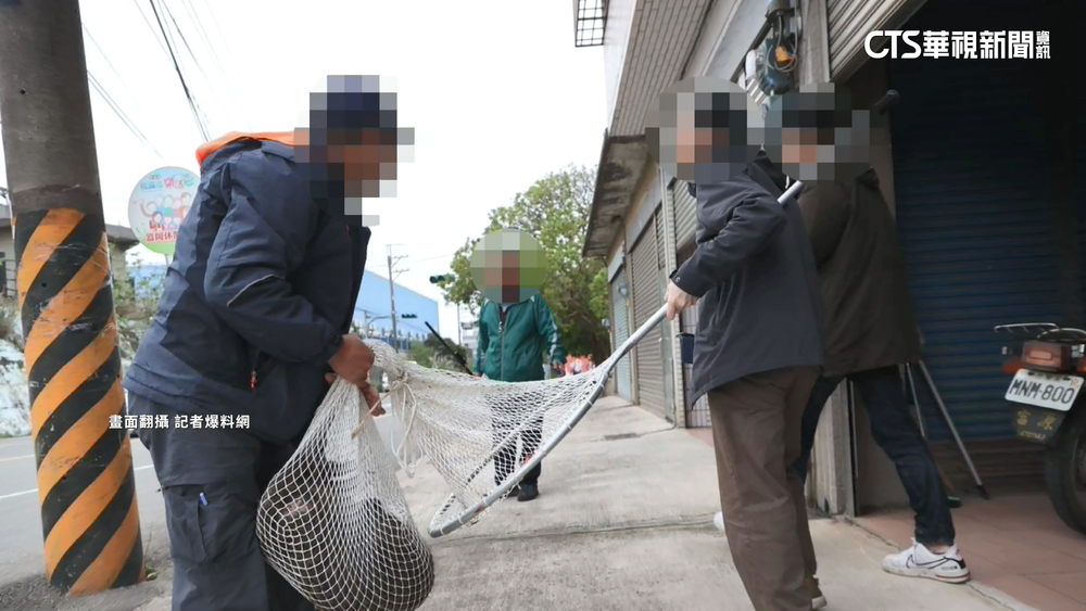 獵人認了「開槍殺狒狒」　稱受新竹農業處委託