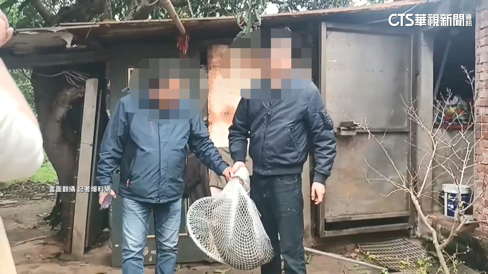 【台語新聞】擺拍狒狒延誤救治？　桃農業局挨轟改口檢討SOP