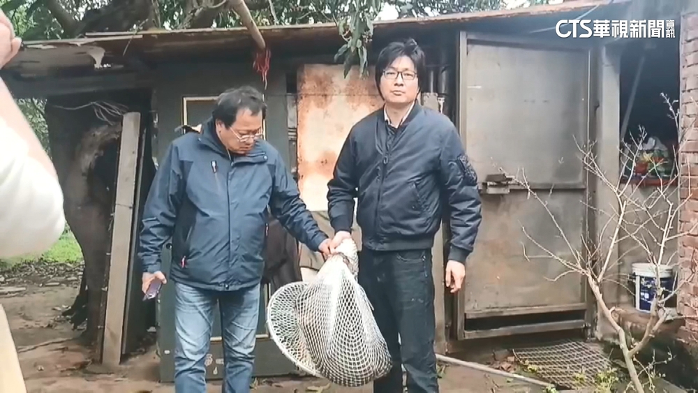 狒狒慘死槍下　監委自請調查追官員.獵人責任