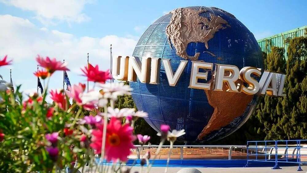 他在大阪環球掉包包！員工暖心幫追回　現金不翼而飛兇手竟是台灣人