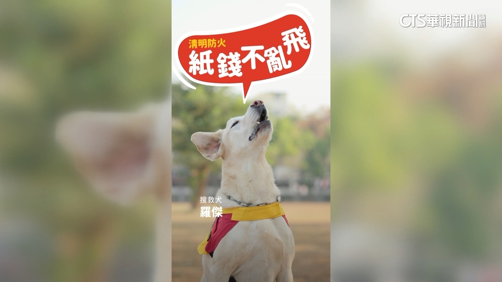 清明防火出奇招　高市超萌搜救犬出任宣導大使
