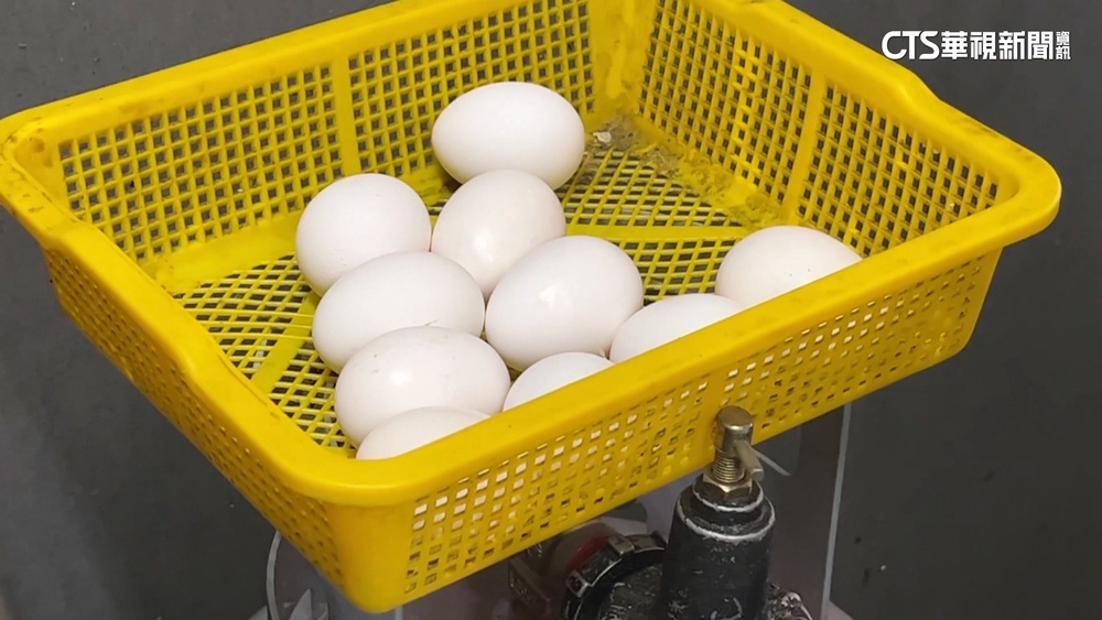 黑市蛋價嚇人！　滷肉飯老闆：農委會有在抓嗎？