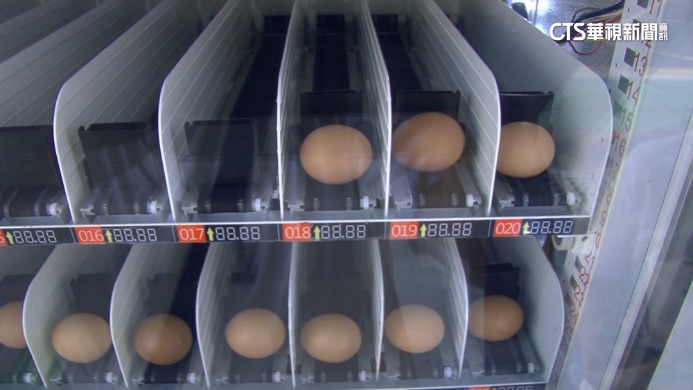 全台唯一！　台南雞蛋販賣機　1顆25元引熱議