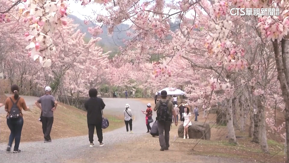 收假後小琉球人潮仍多　業者加開船班疏運