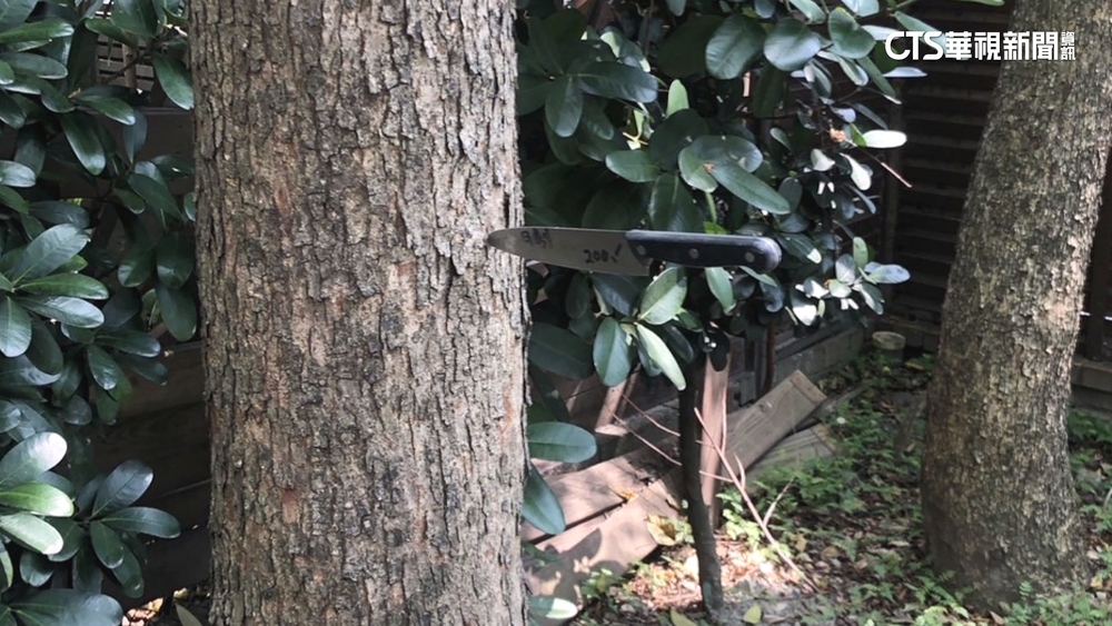 醫院門口持刀亂射　老翁稱「好玩射鳥」