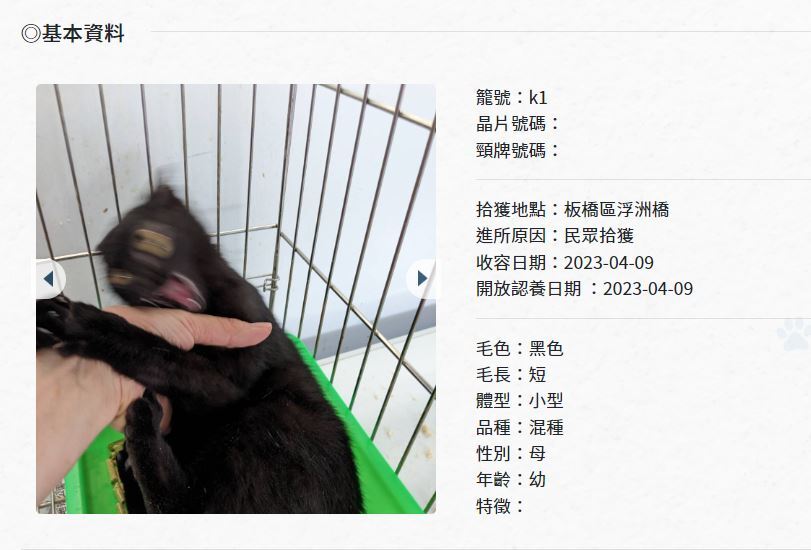 圖片翻攝自 新北市板橋動物之家