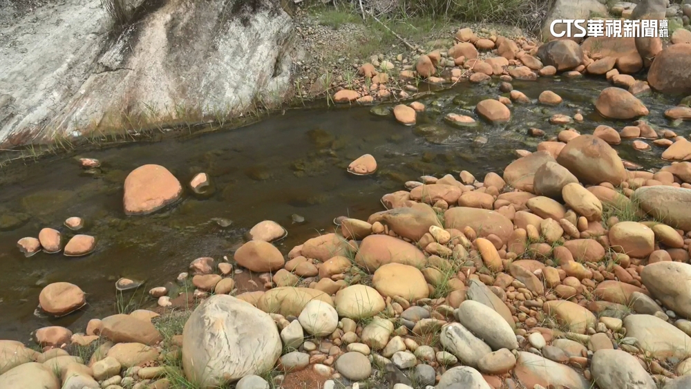 強酸毒害三縣　環保蟑螂疑勾結露營區業者亂倒