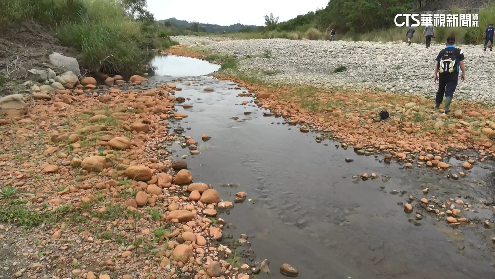 亂倒工業強酸污染桃中苗　業者疑勾結地主兒