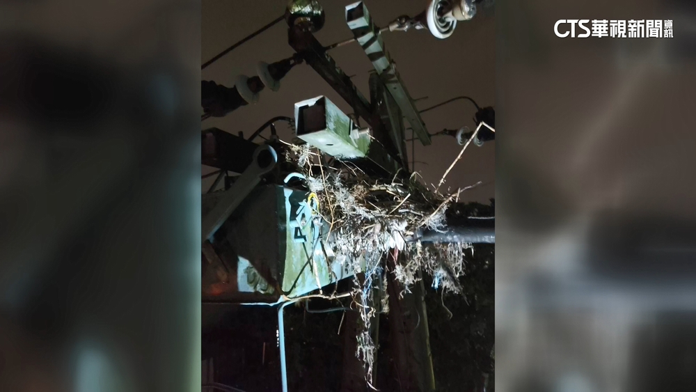基隆晚間逾千戶停電　鳥類築巢致斷路器跳脫