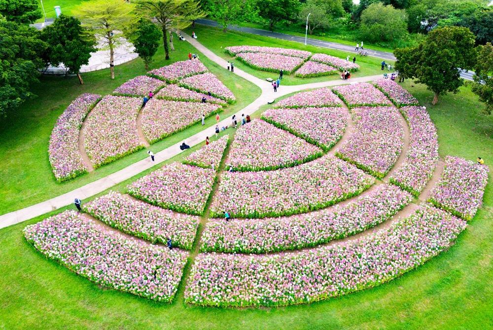 台北限時賞花祕境！ 大安森林公園+古亭河濱 2祕境功略大公開