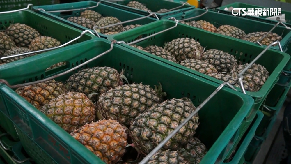 中對台祭貿易壁壘調查　農產.紡織等2455項商品